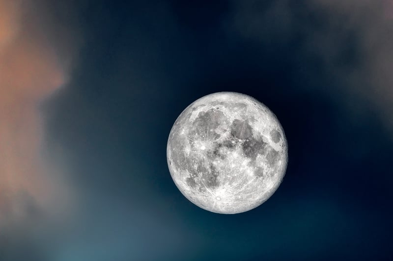 Moonlit Mousse